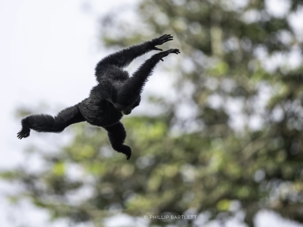 Indonesia 2026 Photo Tour